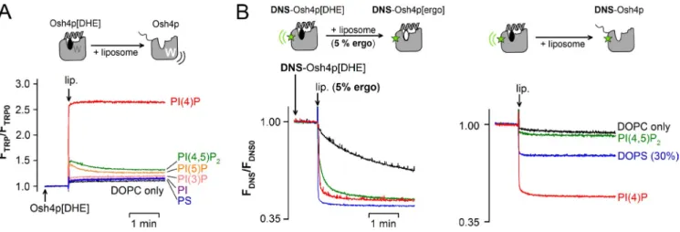 Fig. 6 A shows DHE transport experiments where we varied  the composition of the acceptor liposomes