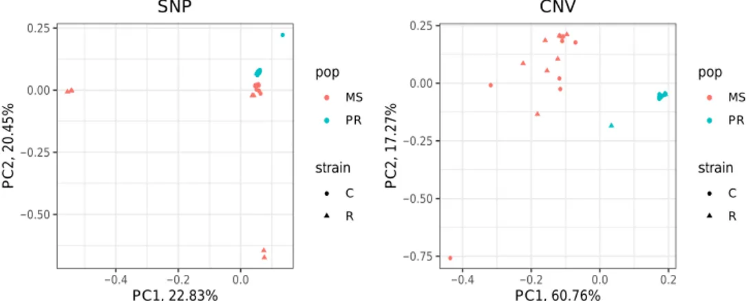 Fig. 1 Principal component analysis. The left and right panels show the results from SNP and CNV, respectively