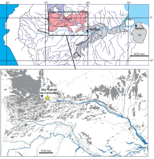 Fig. 1. Situation of the studied site (yellow star) and extension of the podzol systems in Amazonia