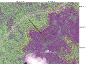 Fig. 2. View of the studied area based on Ikonos imagery. The darker green area corresponds to closed, low forest over  hydromor-phic podzols