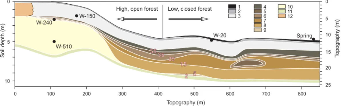 Fig. 3. A typical soil sequence from well-drained to bad-drained podzol area. 1: upper horizons, C > 50 kg m −3 ; 2: upper horizons, 5 <