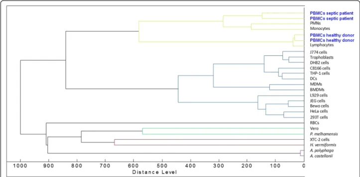 Figure S1). It is noteworthy that the scores obtained by comparing the spectra of E. coli- and S