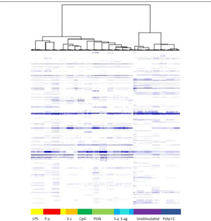 Fig. 4 Hierarchical clustering of activated PBMCs. PBMCs were stimulated with different agonists for 18 h