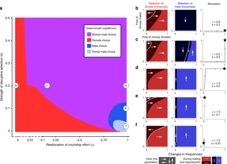 Fig. 2 Deterministic equilibrium for different combinations of courtship reallocation ð α Þ and strength of disruptive viability selection ð s Þ