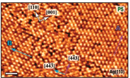 Figure 5. STM image of the metastable domains (phase P5) obtained on Ag(110) after room-temperature deposition