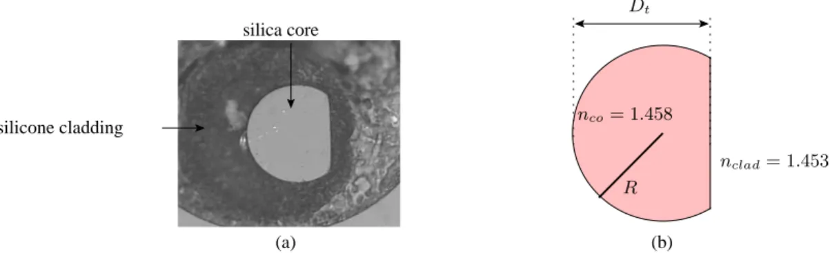 Fig. 1. Microscope photography of the D-shaped fiber(a) and characteristical parameters of the core(b).