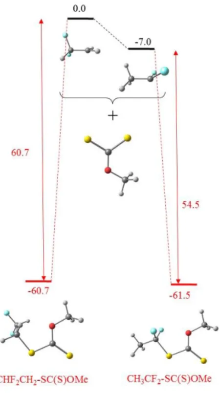 Figure 7. Relative energies and views of the optimized geometries of the isomeric CHF 2 CH 2 •  and  CH 3 CF 2 •  radicals,  the (MeO)C(S)S •  radical,  and the corresponding adducts