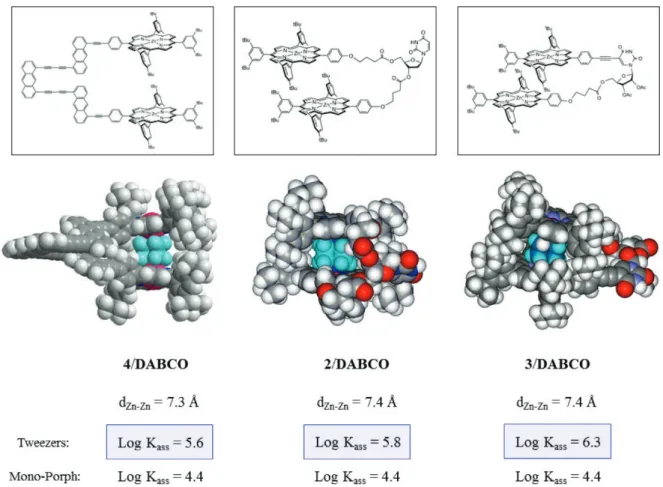 Figure 4. Molecular modeling of dimers 4, 2 and 3 and their 1/1 complexes: 4/DABCO, 2/ DABCO, 3/DABCO