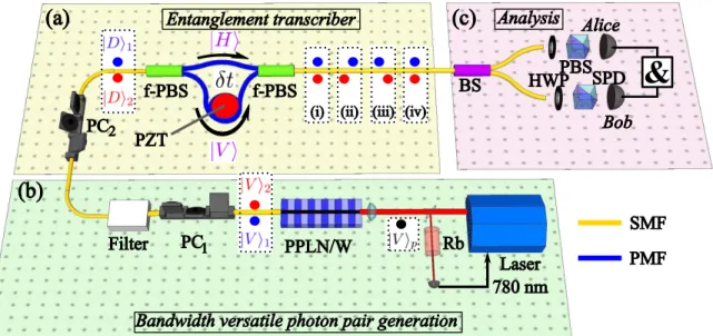 Figure 1. Schematic of the experimental setup. (a) Fibre optical transcriber apparatus