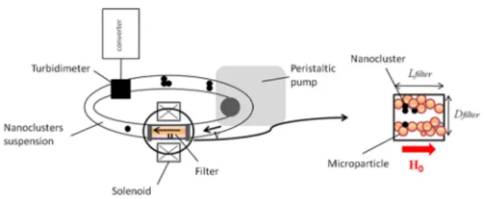 Fig. 1 (Color online). Sketch of the experimental setup 