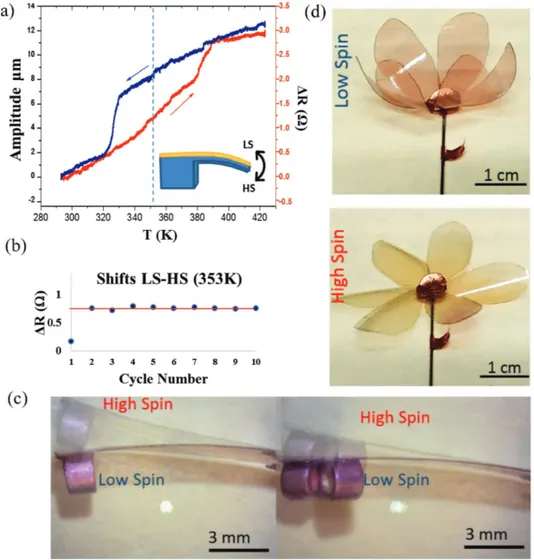 Figure 2.  Actuation by SCO: from micro- to macroscopic scales. a) Temperature dependence of the static piezoresistance change and the corre- corre-sponding actuation amplitude in silicon MEMS microcantilevers covered by the SCO/SU-8 composite film