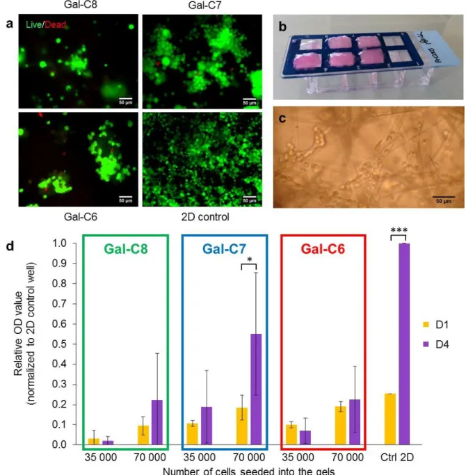 Figure  6:  Cell  culture  assays  and  growth  quantification  with  the  aldonamide  gels