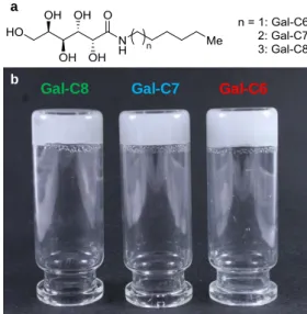 Figure 1: (a) Chemical structure of the gelators: Gal-C8: octylgalactonamide; Gal-C7: heptylgalactonamide; Gal- Gal-C6:  hexylgalactonamide
