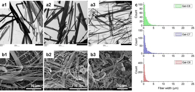 Figure  4:  Microscopic  structure  of  the  gel  fibers.  a1-a3:  TEM  images  of  Gal-C8,  Gal-C7  and  Gal-C6  gels  (scale  bar: 10 µm) and b1-b3: cryo-SEM images of Gal-C8, Gal-C7 and Gal-C6 gels prepared with a “0-min” cooling