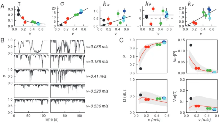 Figure 3. Parameter estimation and validation of the model for groups of N ~ 2 fish. (A) Determination of the parameters of the model defined by Eqs