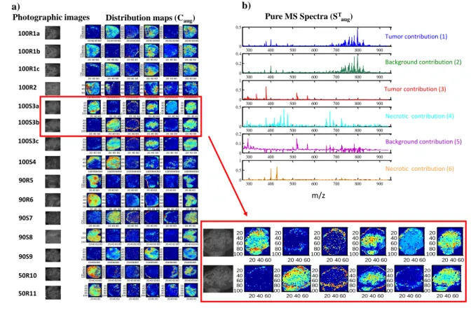 Figure  3.  MCR-ALS  results  for  the  multiset  analysis  of  15  tumor  images  using  non- non-2 
