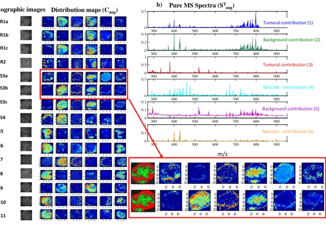 Figure 4. MCR-ALS results for the multiset analysis of 15 images using non-negativity,  2 