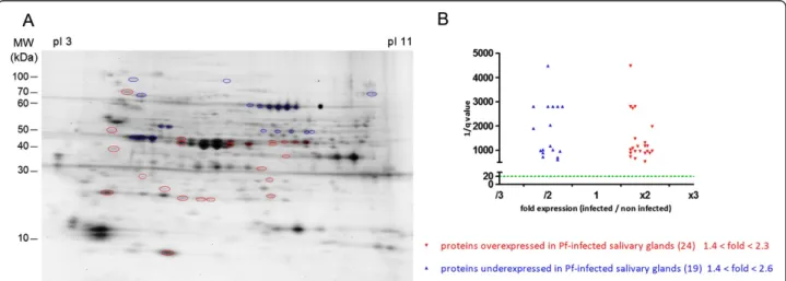 Figure 1 Differential salivary protein expression of An. gambiae infected or not infected by wild P