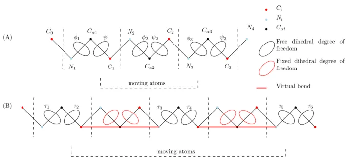 Figure 1: Tripeptide: atoms and degrees of freedom used for loop closure. (A) Classical tripeptide loop closure(TLC): the six dihedral angles represented correspond to the degrees of freedom used to solve the problem