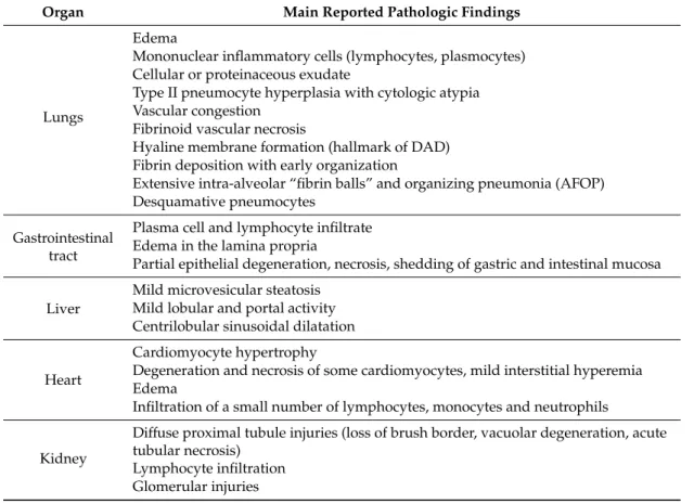Table 1. Main pathologic findings in the context of SARS-CoV-2 infection reported in the literature.