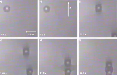 Figure  1.  Snapshots  of  the  aggregation  of  two  nickel  particles  dispersed  in  a  ferrofluid,  upon  application  of  a  magnetic  field  of  22  kA/m