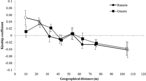 Fig. 5. Correlograms showing the spatial structure for the two datasets‘ramets’ and ‘genets’ of the population of Sohoa, with average Loiselle kinship coefﬁcients over all loci (±SD) plotted as a function of the geographical distance in metres