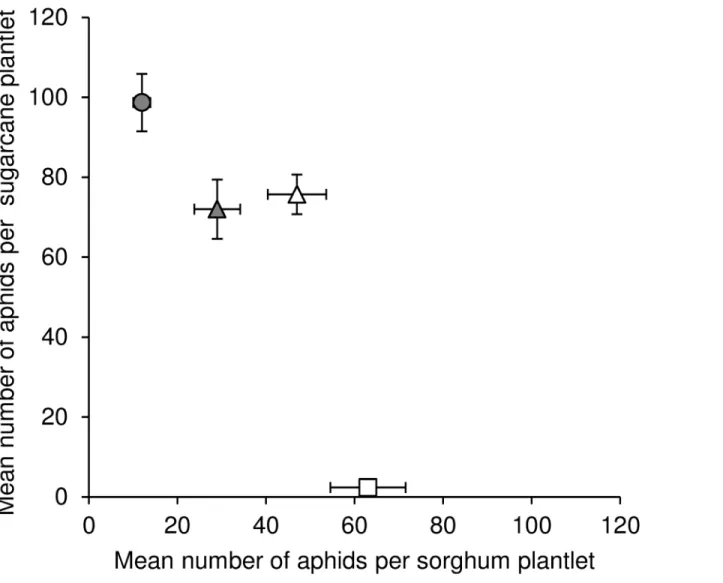 Fig 4. Illustration of the negative correlation of the performances on sorghum and sugarcane of four isofemale lineages in the laboratory host transfer experiments