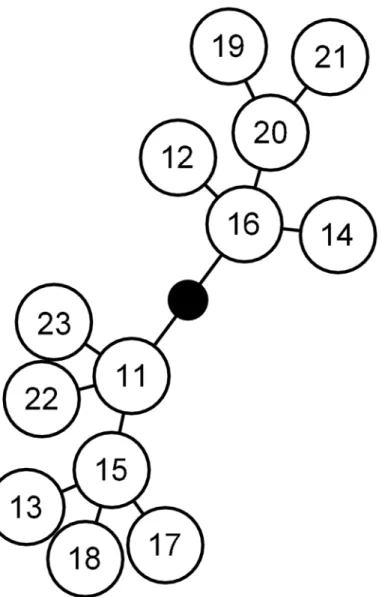 Fig 1. Minimum spanning network of Melanaphis sacchari microsatellite distances computed as the number of allele differences between MLGs