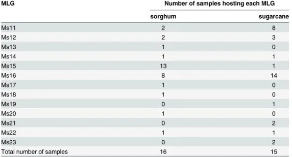 Table 3. Number of samples hosting at least one individual of each of the 13 MLGs on sugarcane or sorghum samples.