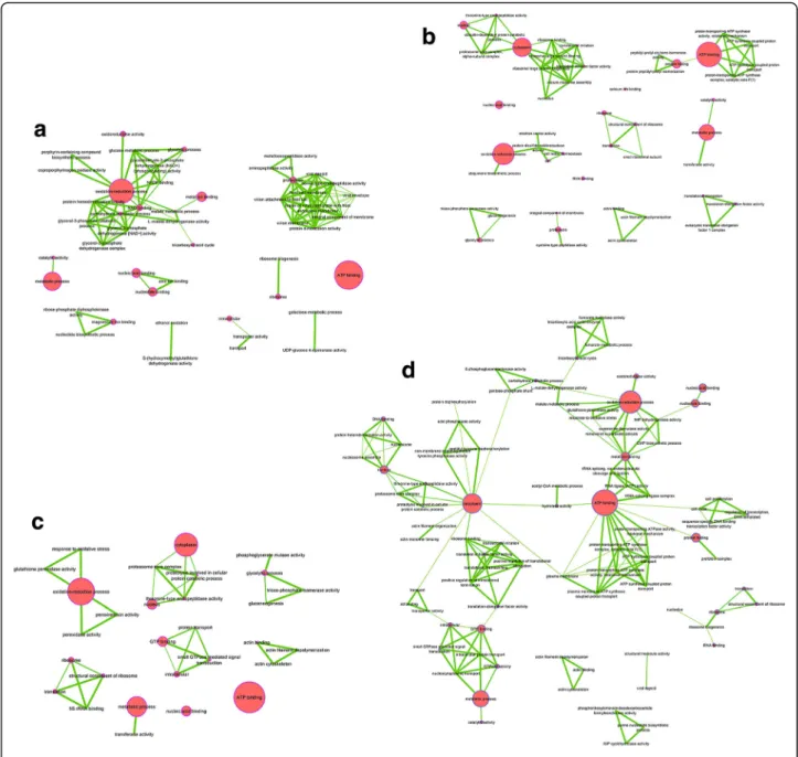 Fig. 5 Wolbachia Dominance function network. a W_DOM_1, (b) V_DOM_2, (c) W_DOM_3, (d) W_DOM_4