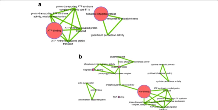 Fig. 6 CHIKV Dominance function network. a V_DOM_2, (b) V_DOM_3. Network of functions impacted by CHIKV infection