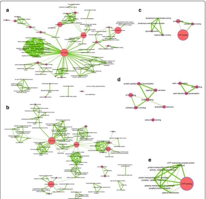 Fig. 8 Interference effect function network. a INT_1, (b) INT_2, (c) INT_3, (d) INT_4, (e) INT_5