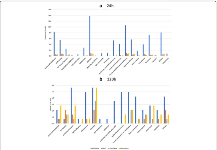 Fig. 4 Functional categorization of proteins found in differentially regulated spots of C6/36 cells under different infection modalities