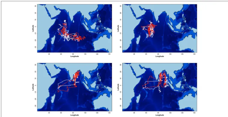 FIGURE 2 | Example of non-breeding at-sea distribution estimation of four sooty terns from Bird Island equipped for 2 years (2011–2012 and 2012–2013)