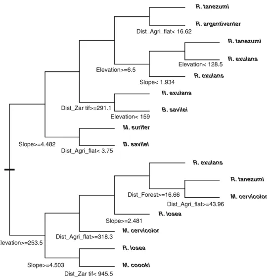 Fig. 2. Regression tree model explaining distribution of rodents in relation to distance to main habitats: forest, steep agriculture, flat agriculture, settlement, and with slope and elevation.