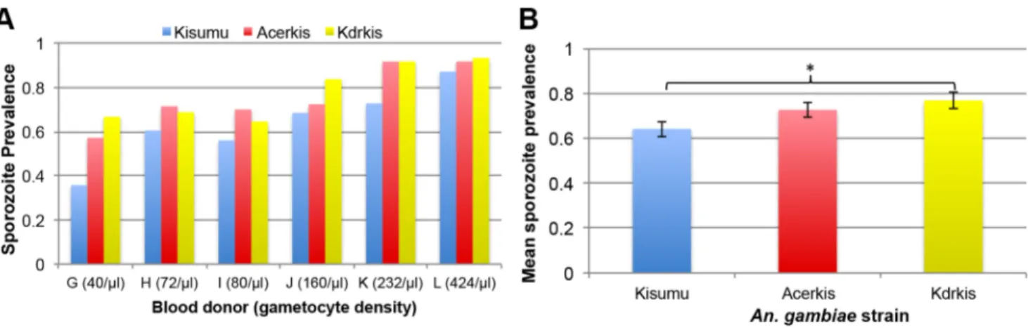 Figure 5A shows the ratio of the number of sporozoite genome over that of mosquito genome and reveals no difference between Acerkis and Kisumu except in the infection with the donor K where the resistant strain had about 10 times more sporozoites than the 