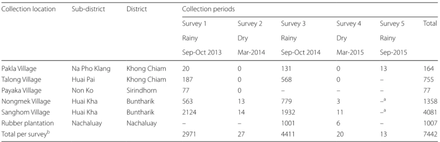 Fig. 2  The number of specimens of the An. hyrcanus group collected on human (indoors and outdoors) and cattle bait