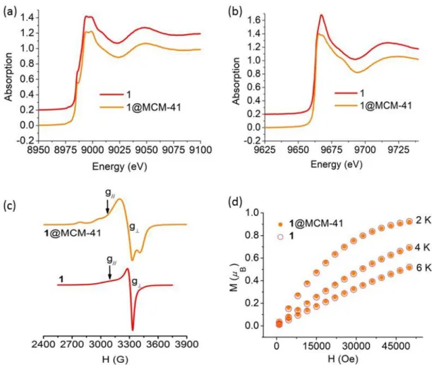 Figure 3. (a) Cu K-edge and (b) Zn K-edge XANES spectra, (c) EPR spectra at T = 120  K, and (d) low-temperature magnetic isotherms, of free and encapsulated complex 1  