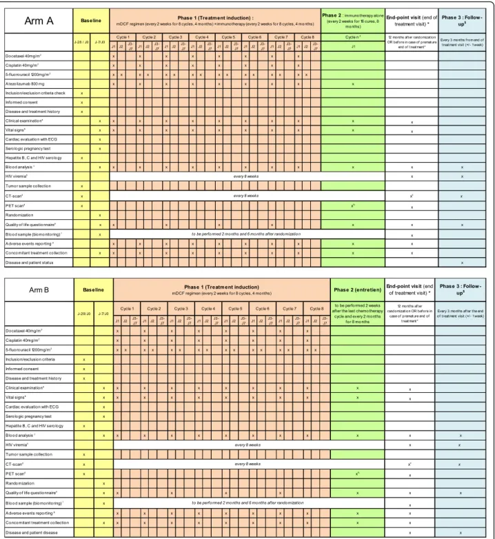 Fig. 1 Schedule of enrolment, interventions, and assessments. a Clinical examination: height (at baseline only), weight, and ECOG-PS
