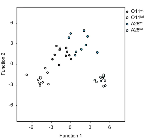 Figure S5. Discriminant analyses (DA) of CHC-profiles in D. paulistorum males upon symbiont knockdown based on six principal components derived from centered log-ratio transformed relative amounts of all 27 detected compounds