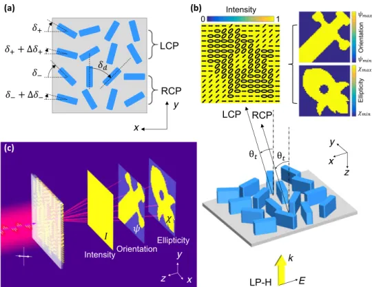 Fig. 1 Design principle of vectorial Fourier metasurface for arbitrary far- ﬁ eld light distribution of intensity and polarization