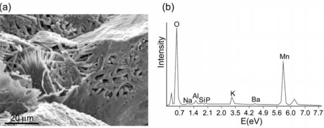 Figure 4. (a) SEM photomicrograph of cryptomelane needles with (b) its chemical analysis.