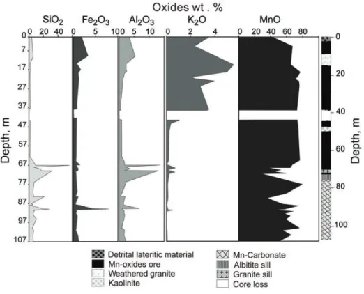 Figure 6. Geochemical evolution along DD2B drill core.