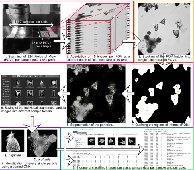 Figure 2. Automated radiolarian image acquisition, processing and identification workflow