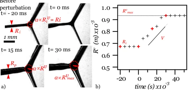 FIG. 7. a) Snapshots of the vertex before and after being hit by a capillary hydraulic jump (Solution A1)