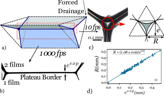 FIG. 1. The single-cell model foam. a) Outline of the experimental setup: the triangular prism frame (dashed black lines) holds the liquid films that join in seven Plateau Borders and two vertices (bold blue lines)