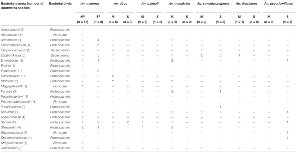 TABLE 3 | Bacterial genera detected in adult Anopheles abdomens collected in Mae Sot and Sop Moei districts, western Thailand.