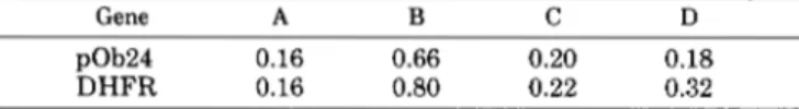 FIG. 6.  Effects of  TNF  and  TGF-8 on  DNA  synthesis and  amount of  pOb24  mRNA.  A,  3-day-post-confluent  Ob1771 cells  were maintained  in  the absence  (untreated)  or  the presence (treated  cells)  of  2 pg/ml  aphidicolin for 24  h to block  DNA