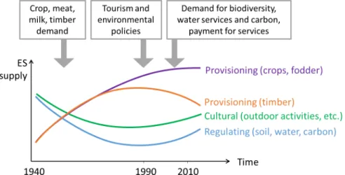 Fig 2. Simplified model of ES transition in the upper part of the Reventazón watershed as suggested by existing literature and databases.