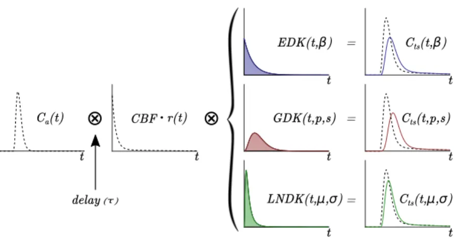 Figure 3: The relationship between the arterial input C a (t) and the tissue concentration C ts (t).
